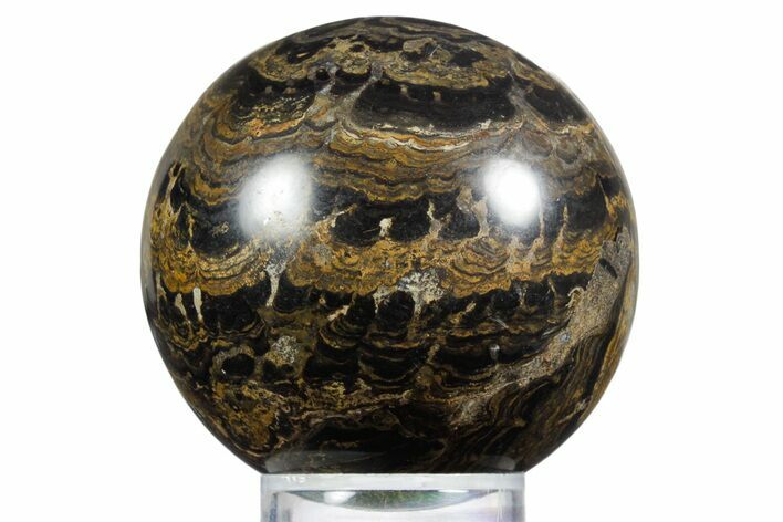 Polished Stromatolite (Greysonia) Sphere - Bolivia #355362